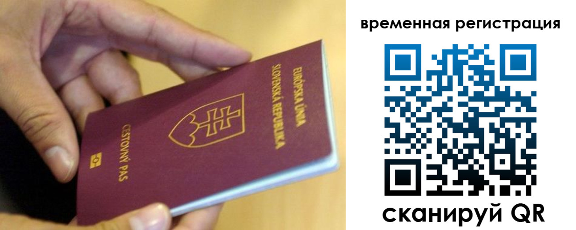 временная регистрация купить в Реутове